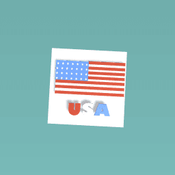 USA flag