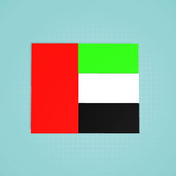 UAE flag