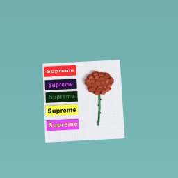 Supreme roses