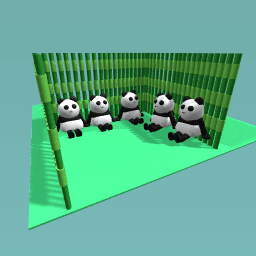 panda world!