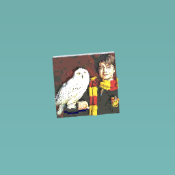 Harry potter and hedwig