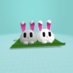2 cuty rabets