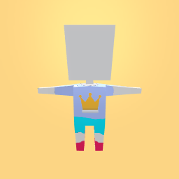 The Gymnastics outfit.