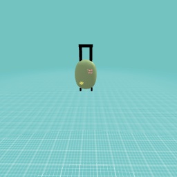 Travel bag