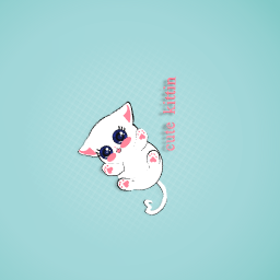 This is my actuall kitten at home the cat is real