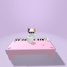 kitty learning to use a piano