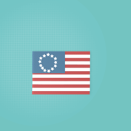 First USA Flag