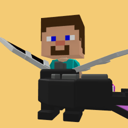 Steve with Ender Dragon