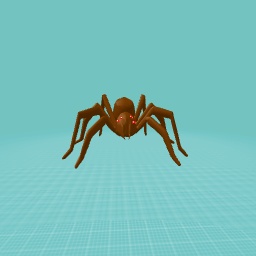 Spider