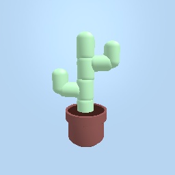 Cactus U_U