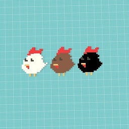 3 Happy Chickens