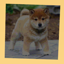 Very cute dog