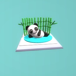 Panda!!!!!!!!!!!!!!!!!