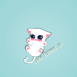 Cute kitten :o