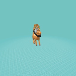 She’s riding a camel