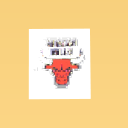Chicago bulls