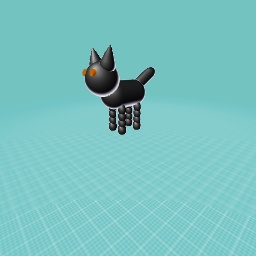 Black cat