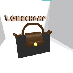 Longchamp bag!