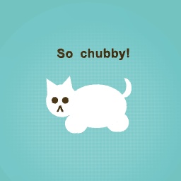 Super duper chubby kitty