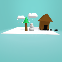 snow man