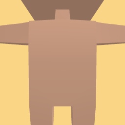 new costume