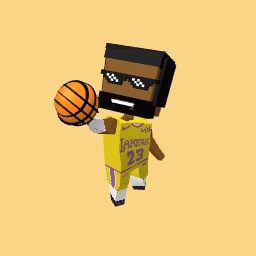 Lebron Jame s