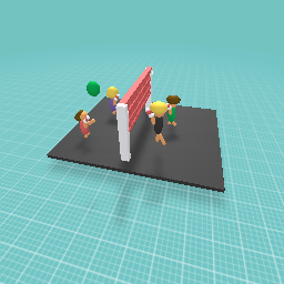 Volleyball time in Tenessee!