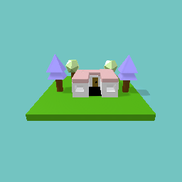 a very bad house (my first time)