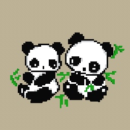 panda