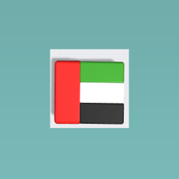 UAE flag