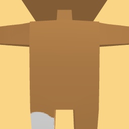 new costume