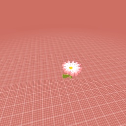 Pink flower