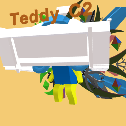 Teddy C2