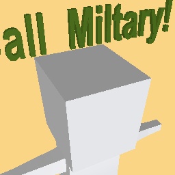 Call miltary!