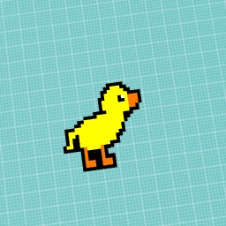 Cute duck