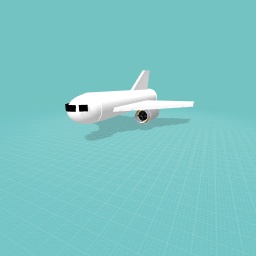 an airbus 330 or something