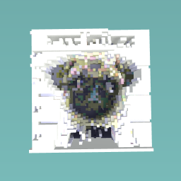 Pug
