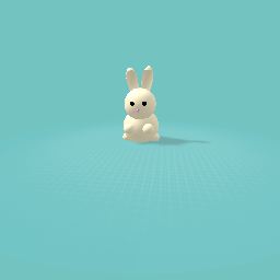 Chonky bunny