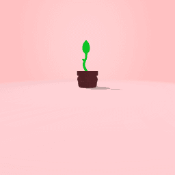 aww a baby plant