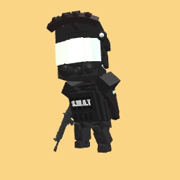 Swat Officer
