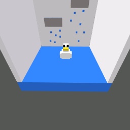 duck in water