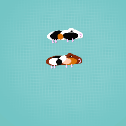 Guinea pigs