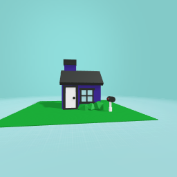 Home