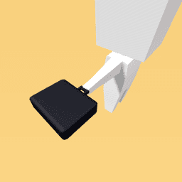 Business manager bag