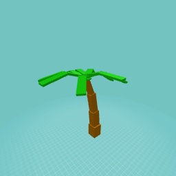 Palm tree