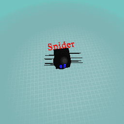 Spider