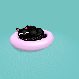 Cool Cat Design