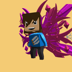 Preston Icream merch and wings