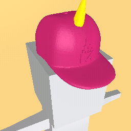 the unicorn hat