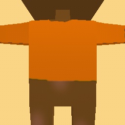 Orange Shirt